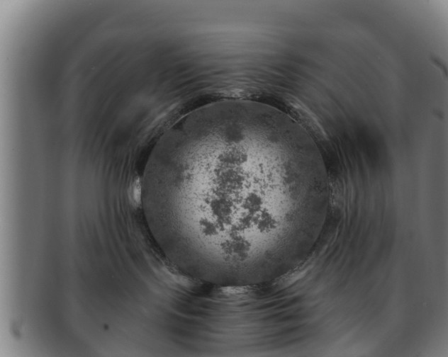 X0000091720095200708311148