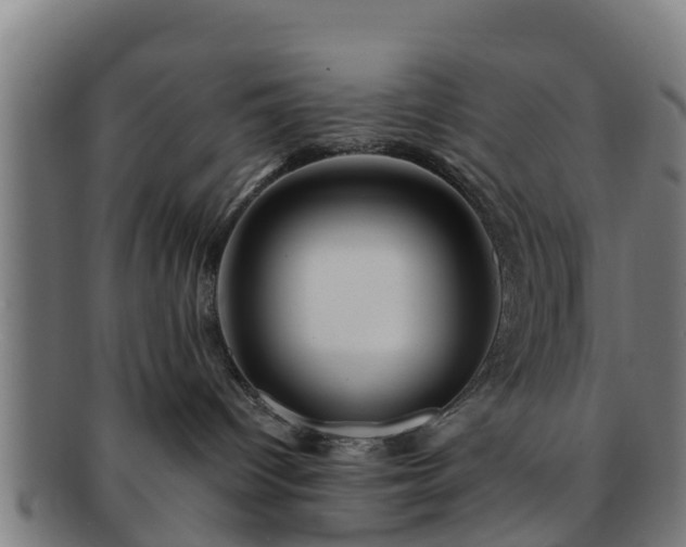 X0000091720096200708311149