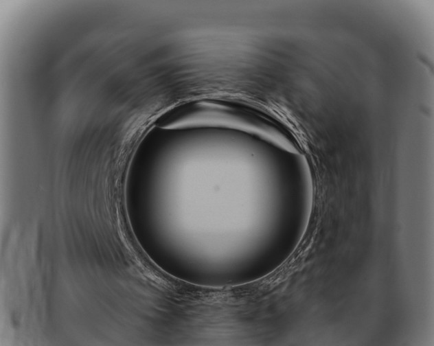 X0000091720097200708311148