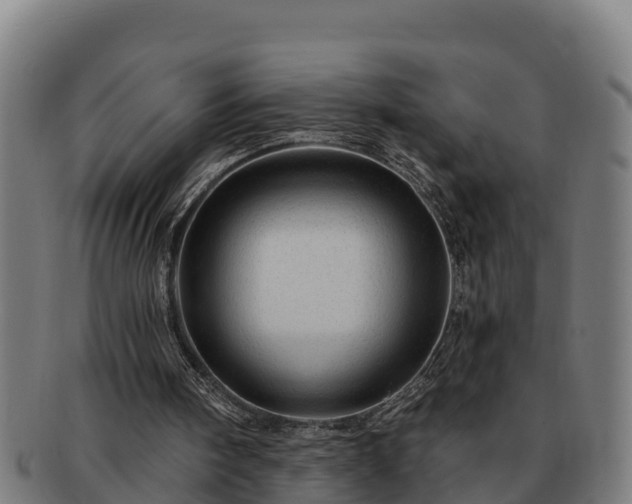 X0000091720098200708311148