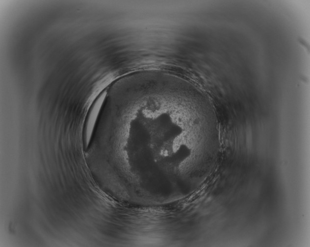 X0000091720099200708311148