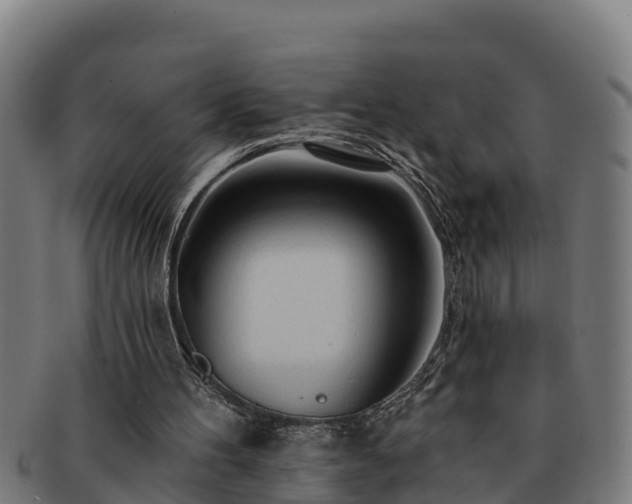 X0000091720100200708311148