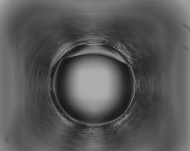 X0000091720101200708311148