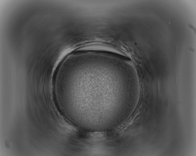 X0000091720102200708311148