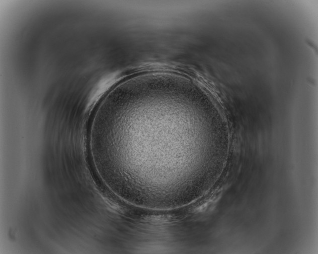 X0000091720103200708311148