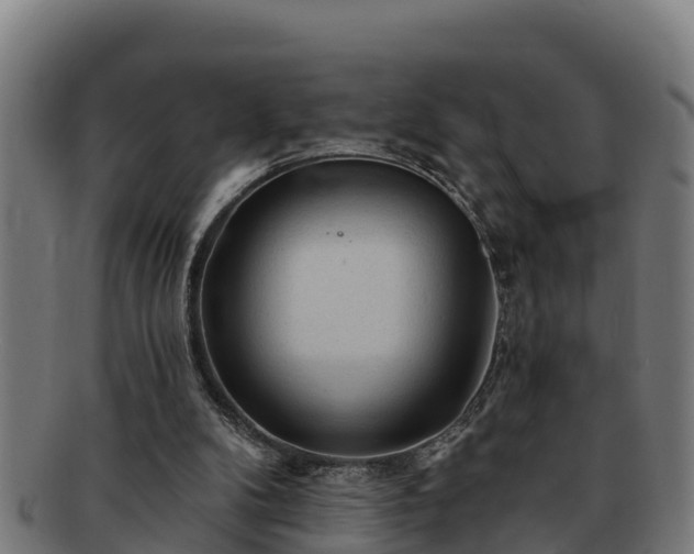 X0000091720104200708311148