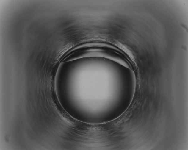 X0000091720105200708311148