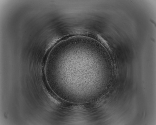 X0000091720106200708311148