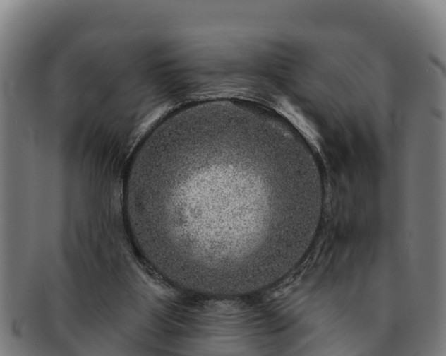 X0000091720107200708311148