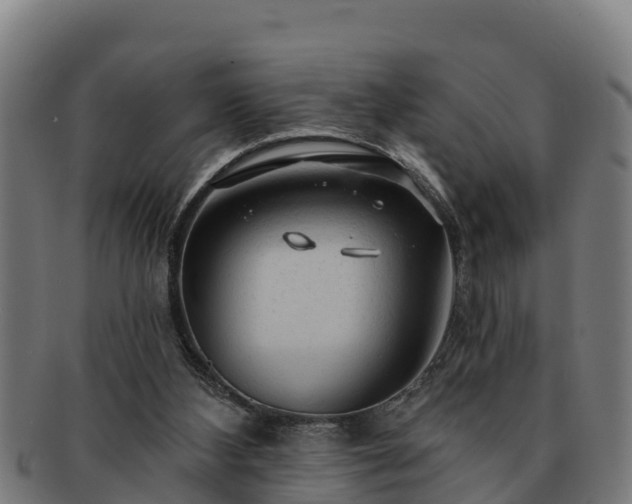 X0000091720108200708311148