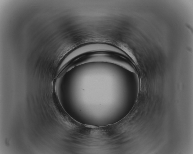 X0000091720109200708311148