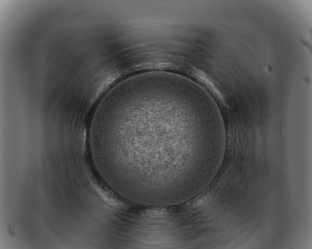 X0000091720110200708311148