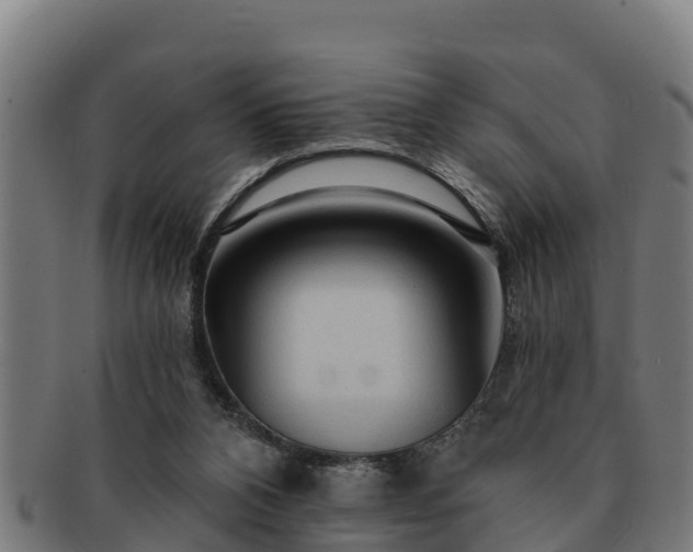 X0000091720112200708311148