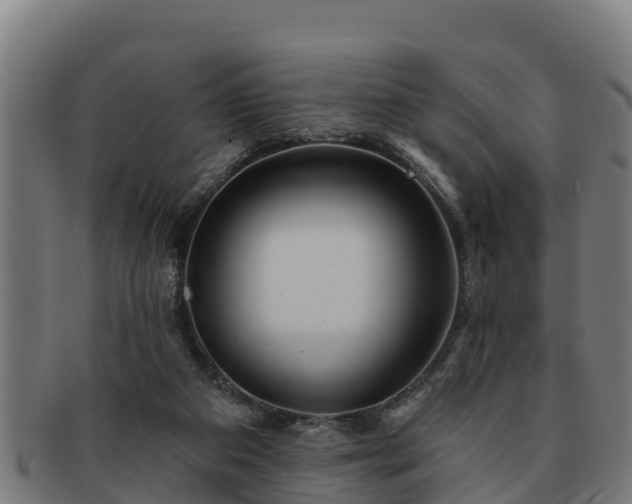 X0000091720113200708311148