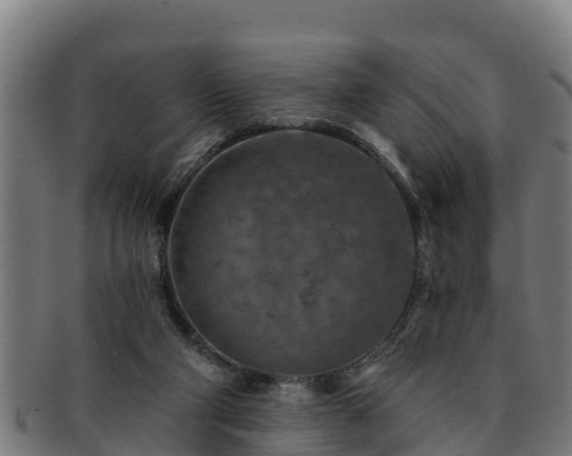 X0000091720114200708311148