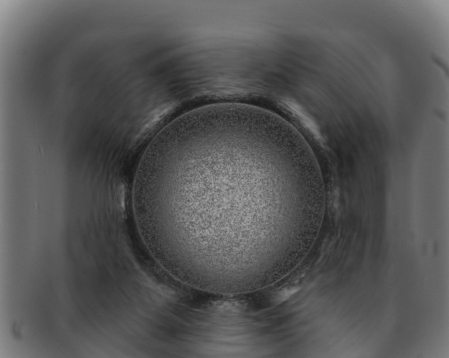 X0000091720115200708311148