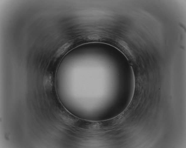 X0000091720116200708311148