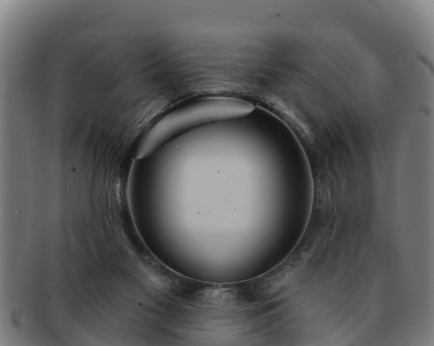 X0000091720117200708311148