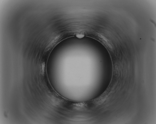 X0000091720118200708311148