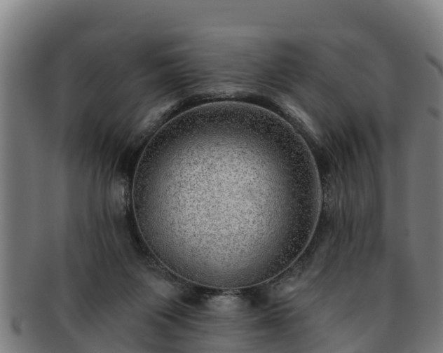 X0000091720119200708311148