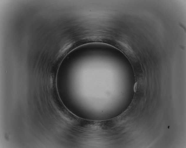 X0000091720120200708311148