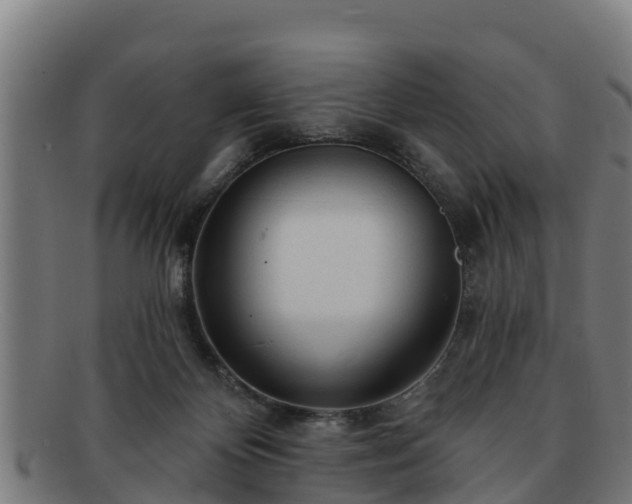 X0000091720124200708311147