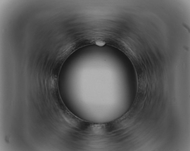 X0000091720126200708311147