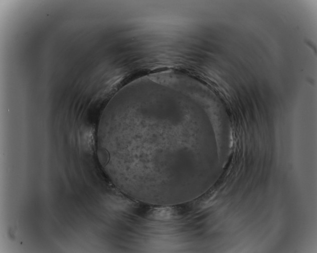 X0000091720127200708311147