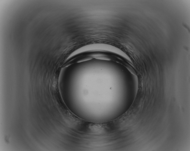 X0000091720129200708311147