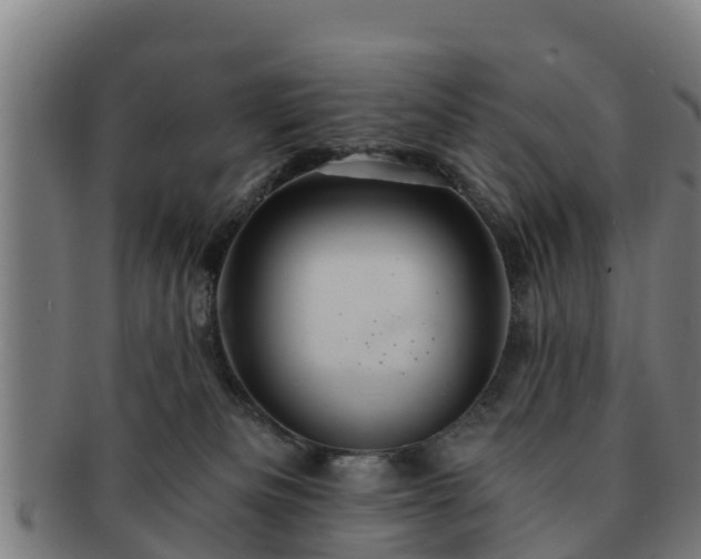 X0000091720133200708311147