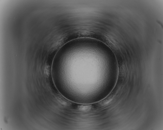 X0000091720135200708311147