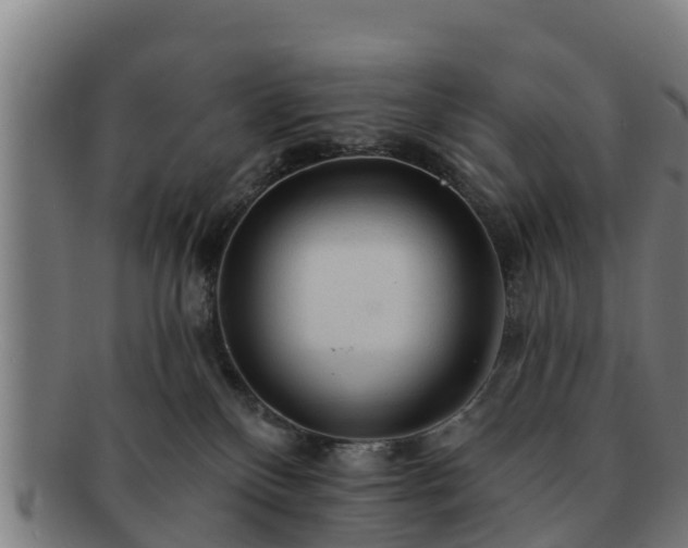 X0000091720136200708311147