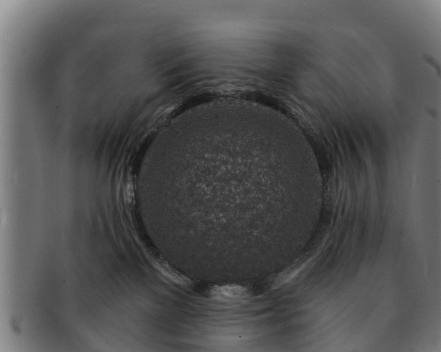 X0000091720137200708311147