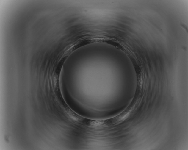 X0000091720139200708311147