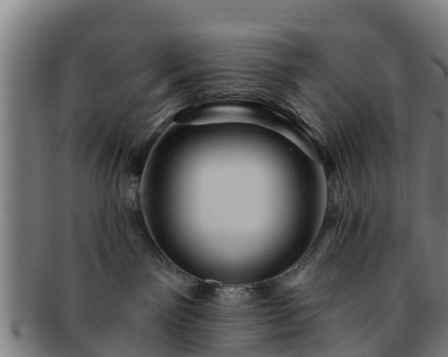 X0000091720141200708311147