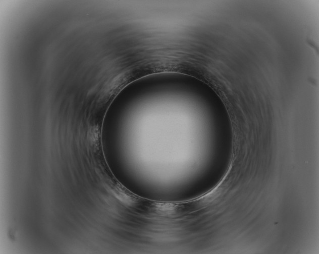 X0000091720144200708311147