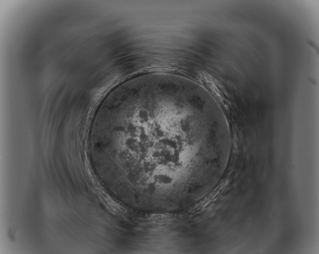 X0000091720145200708311146