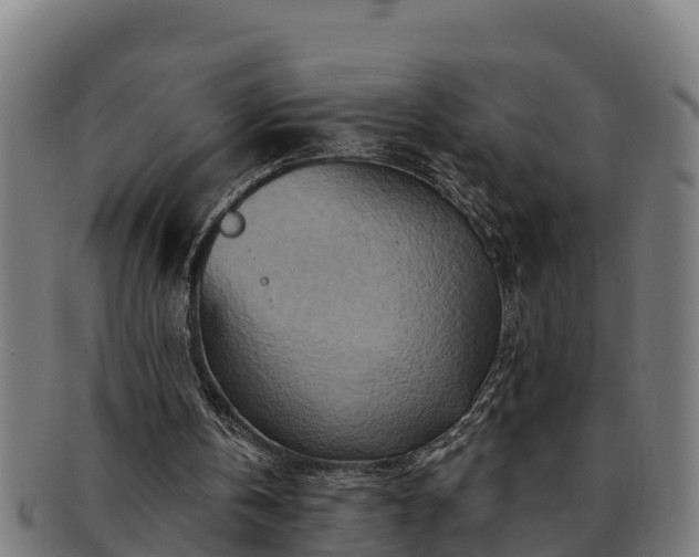 X0000091720146200708311146