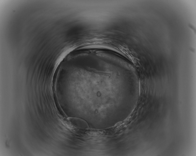 X0000091720147200708311146