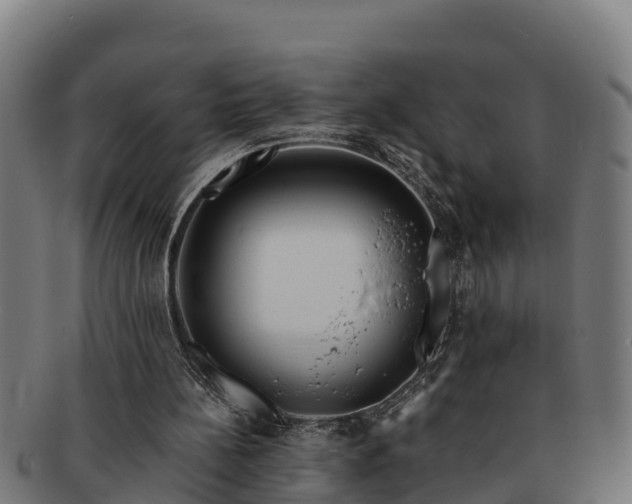 X0000091720148200708311146