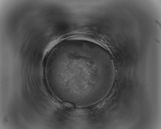 X0000091720149200708311146