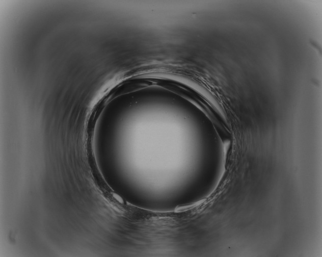 X0000091720150200708311146