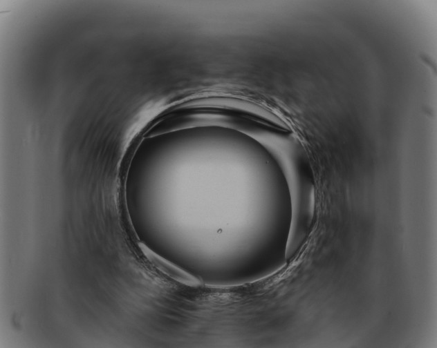 X0000091720152200708311146