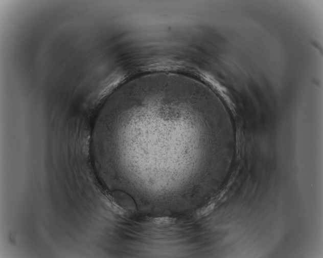 X0000091720153200708311146