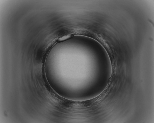 X0000091720154200708311146