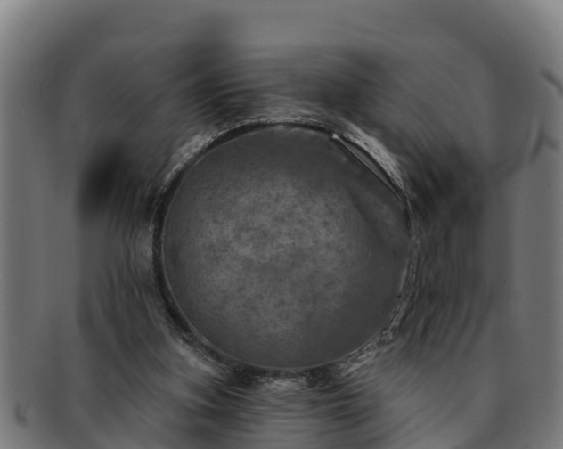 X0000091720155200708311146