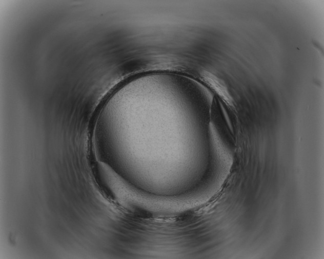 X0000091720156200708311146