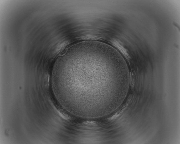 X0000091720157200708311146