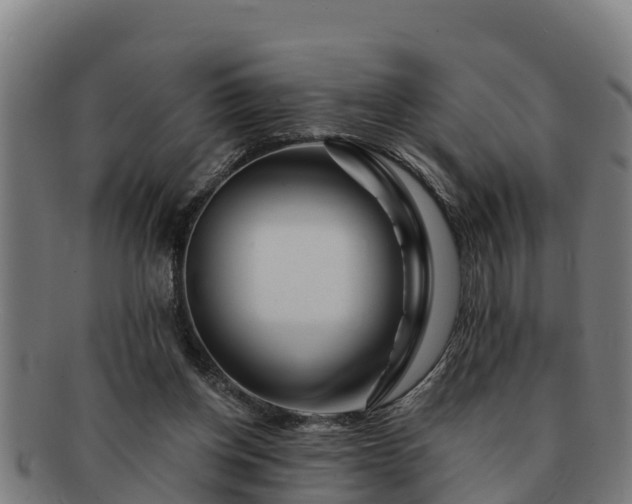 X0000091720158200708311146