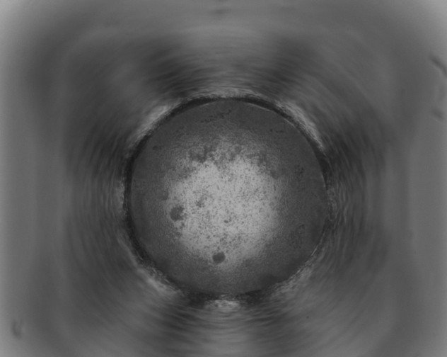 X0000091720159200708311146